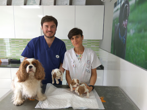 Centro Veterinario Lidercan