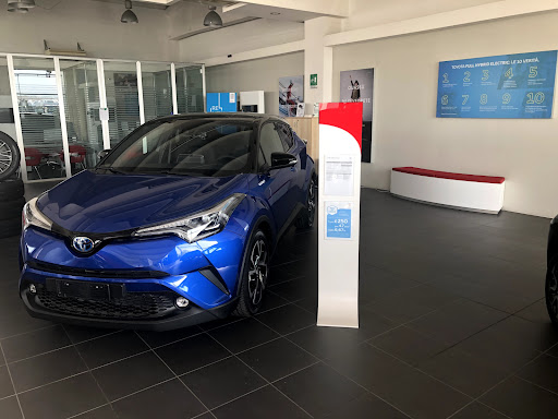 Centro Assistenza Autorizzato Toyota Jolly Motori Gallery - Italy