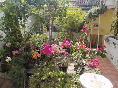 Photos of Kind & Love Hostel