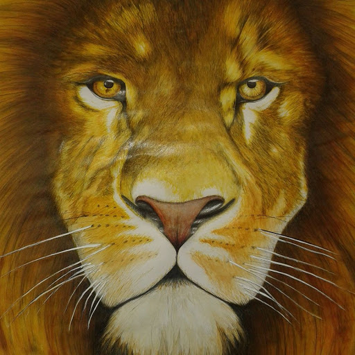 Arte con Sentido