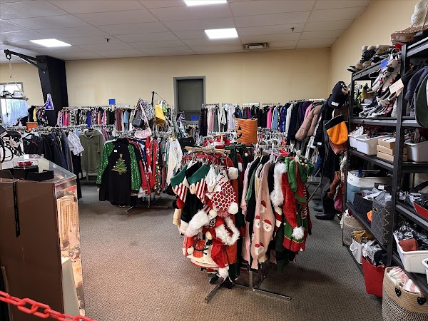 Anderson Bargain Bins 2 photo 2