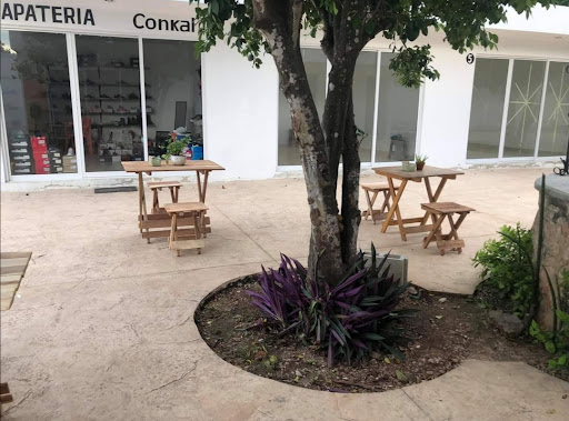 Placita BAYAJI - Thumbnail