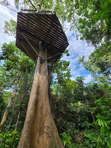 Junglequi Zipline Park - Thumbnail