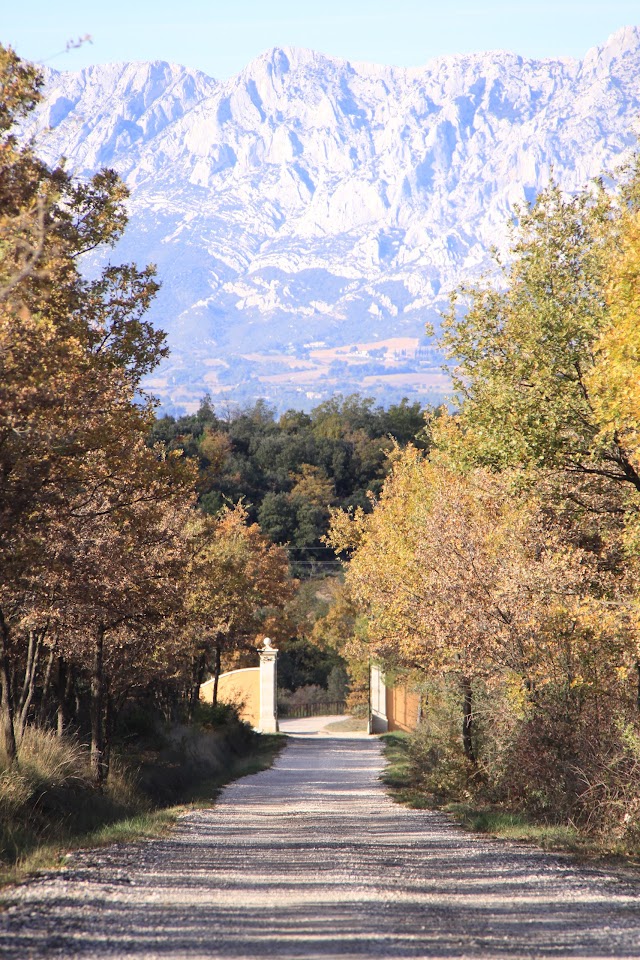 DOMAINE SAINT-HUBERT