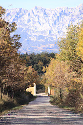 Photo n°17 de Domaine Saint Hubert à Pourrières (Fabricant d'huile d'olive)