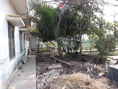 Photos of Sector 12 Cemetery