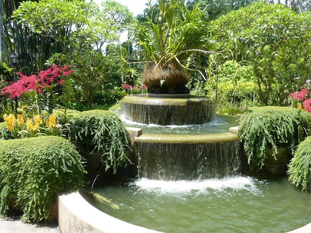 National Orchid Garden