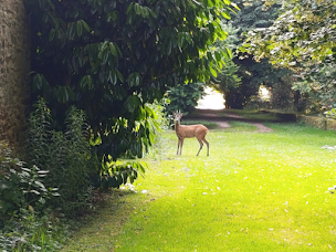 Photo n°16 de Le Bonheur du Périgord à Mialet (Maison de vacances)