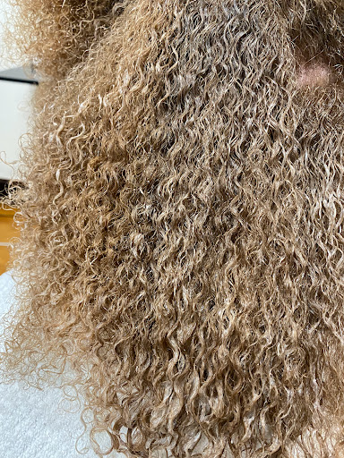 Tania's Unisex Dominican Beauty Salon - Thumbnail