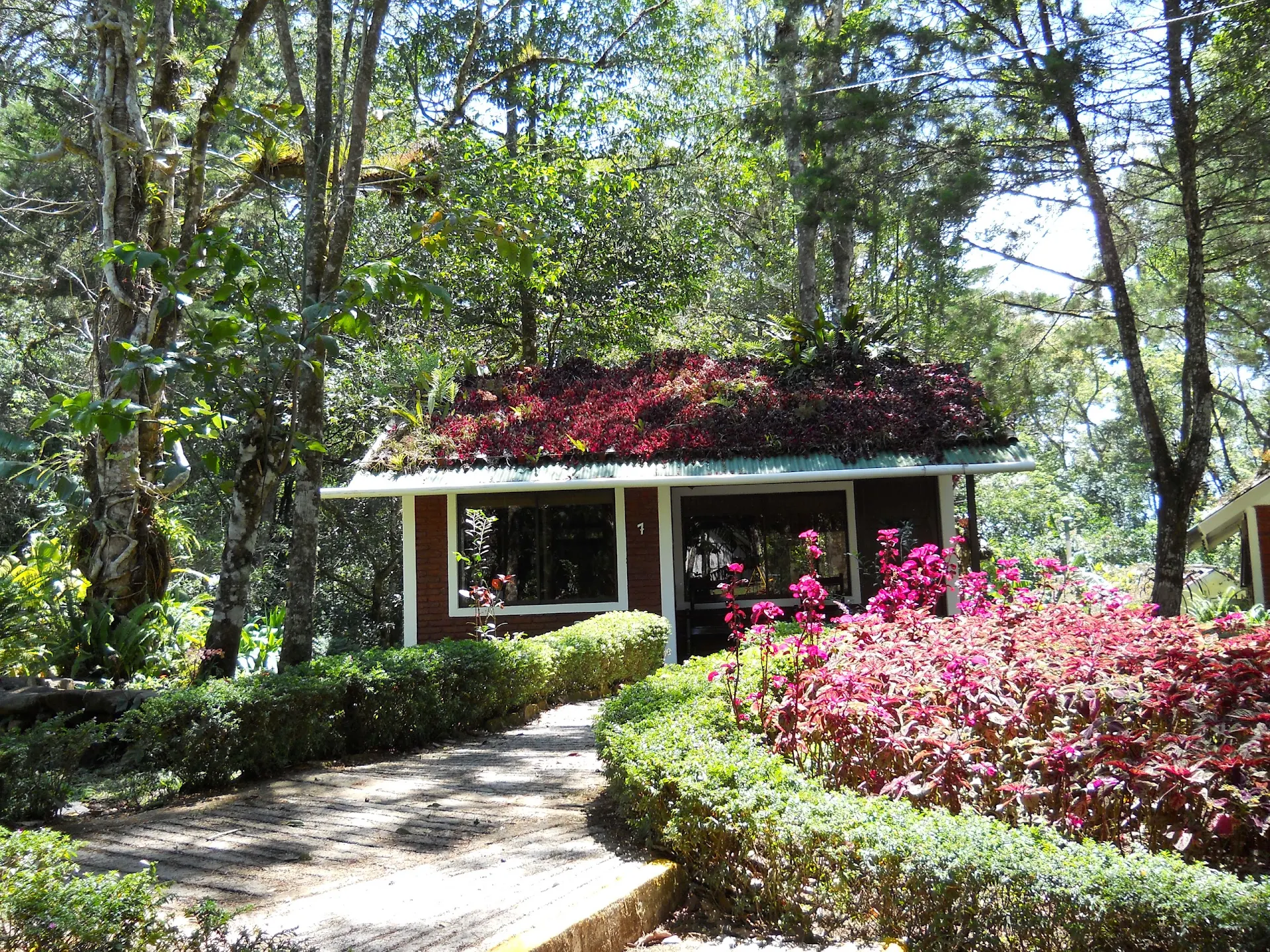 Hotel Selva Negra