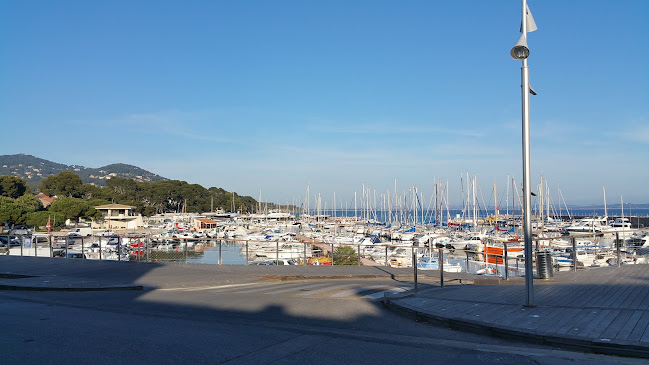 Comentarii opinii despre Dr Marius M. Scarlat Chirurgie Orthopédique Épaule Coude Arthroscopie Chirurgicale Prothèses