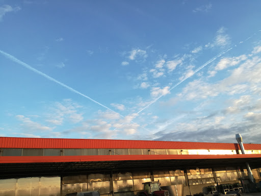 Storti - Visual