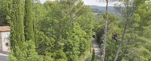 Photo n°14 de Racines & Cimes à Flayosc (Paysagiste)