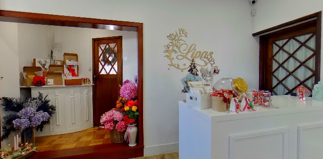 Lipas Design - Santa Maria da Feira
