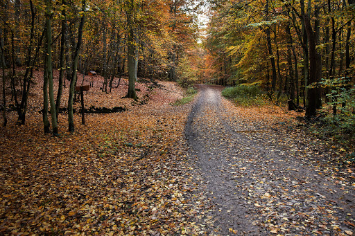 Offermanns Weiher - Visual