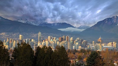 Photos of Total Local Online Marketing