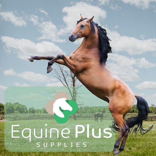 Equine Plus Supplies - Thumbnail