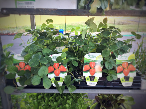 Agridipietro | Irrigazione - Fitofarmacia - Giardinaggio - Thumbnail