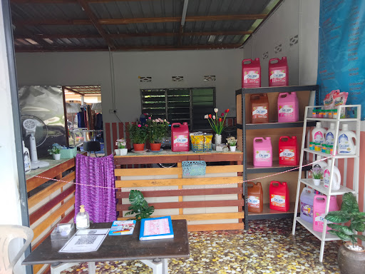 Kedai Dobi Ana