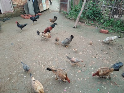 Photos of Maduru Oya National Park