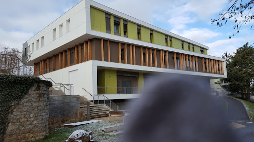 Mayor of Saint-Quentin-Fallavier - Thumbnail