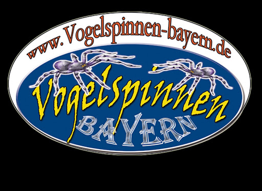 Vogelspinnen Bayern Gallery - Germany