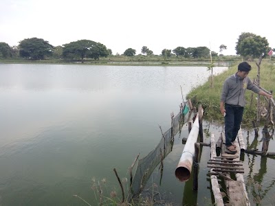 photo of Aquarium