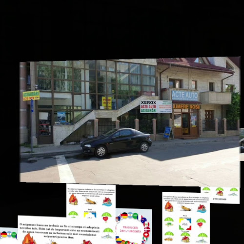 Opinii despre ACTE AUTO Asigurari Centaur Barlad în Bârlad - Traducător