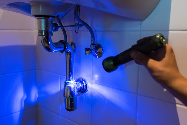 15 Rue du Four À Chaux, 17137 Nieul-sur-Mer