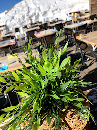 Photo n°30 de Le Zenith à Les Orres (Restaurant)