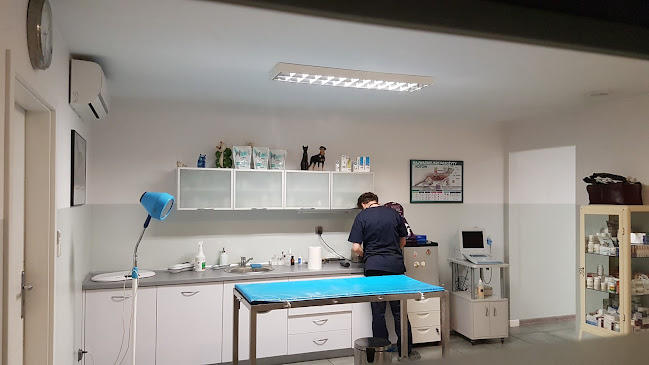 Komentarze i opinie o Przychodnia Dla Zwierząt CZTERY ŁAPY