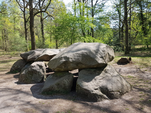 De Strubben-Kniphorstbosch - Thumbnail