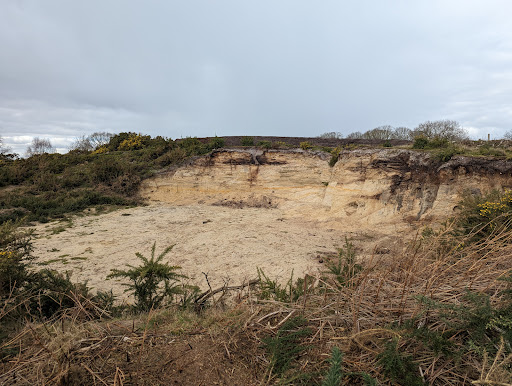 Wenhaston Black Heath - Thumbnail
