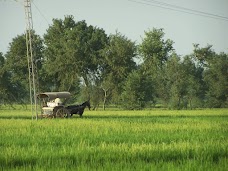 Bus Stop Dera Jammu, Gujranwala