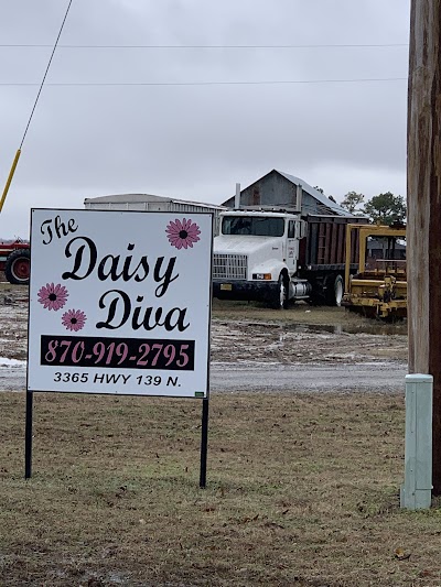 THE DAISY DIVA