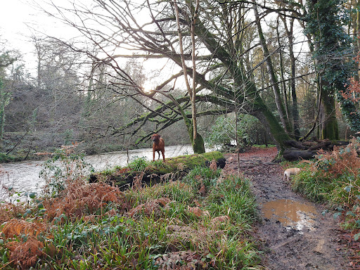 Henllan Bridge - Thumbnail