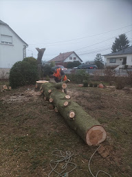 Photo n°18 de Élagage & Services à Gros-Réderching (Service d'entretien de pelouse)