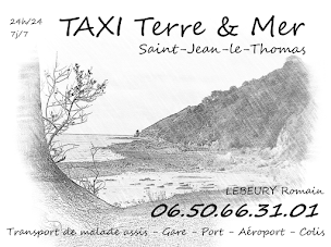 Photo n°1 de TAXI Terre & Mer à Saint-Jean-le-Thomas (Service de transport)