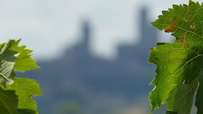 Azienda Agricola San Quirico