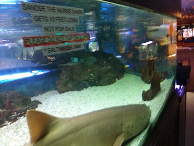 The Aquarium Shop