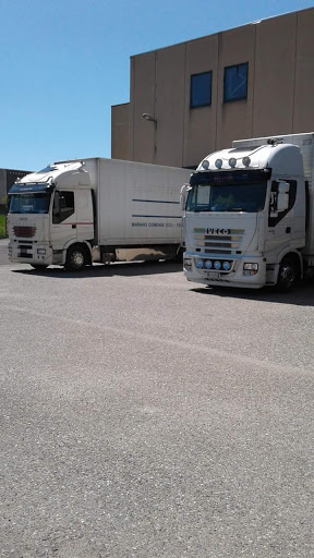 Iaccarino trasporti sas - Thumbnail