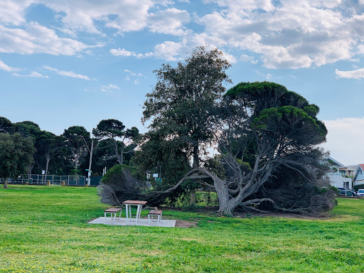 Jewel Forest Retreat Gallery - Australia