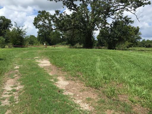McGuire Unit Parking Lot, Trinity River National Wildlife Refuge