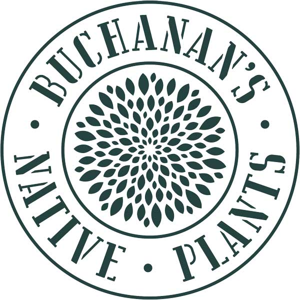 Buchanan's Native Plants