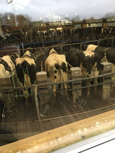 Besökarbild Wapnö Gårdshotell