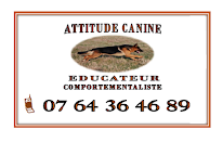 Attitude Canine à Presles