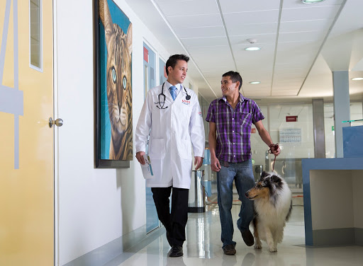 UVM Hospital Veterinario - Universidad del Valle de México