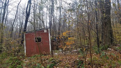 Freedley Quarry