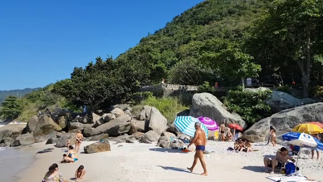 Abricó Beach by null
