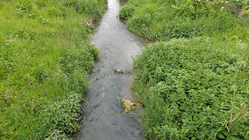Eppinger Park beim alten Postweg - Thumbnail